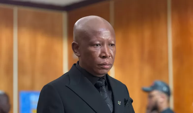 Julius Malema Sentencing: Social Worker Urges Suspended Fine And Gun Ban For EFF Leader