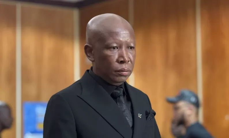 Malema Firearm Trial: Social Worker Urges Leniency As Court Sets April 15 For Sentencing