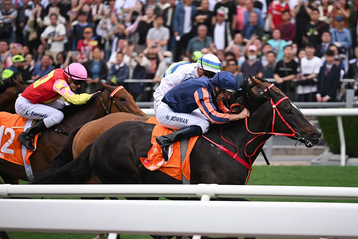 Lion can chase tails of Warrior and Bubble in Stewards’ Cup