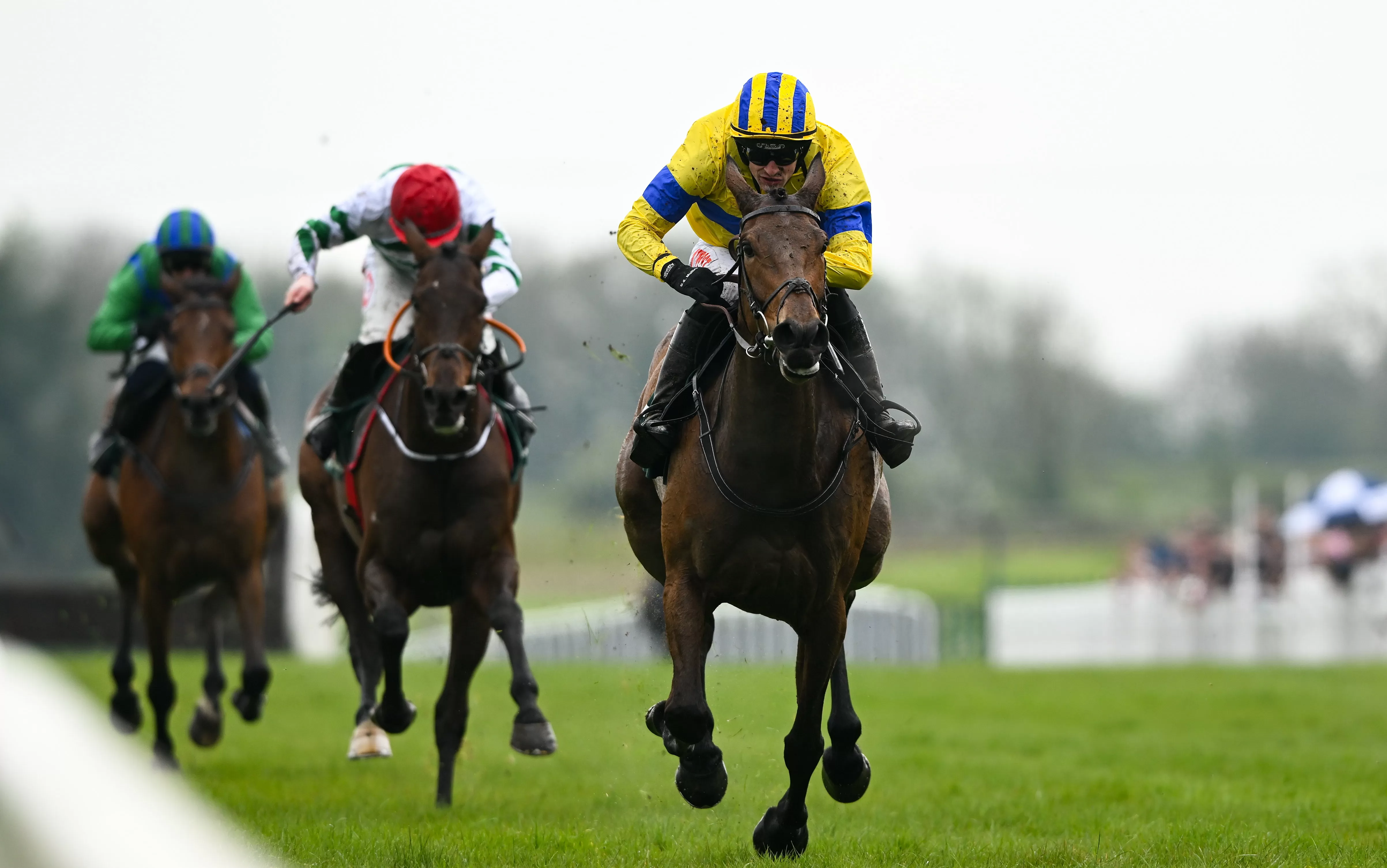 Spindleberry’s a ripe pick for historic Gold Cup double