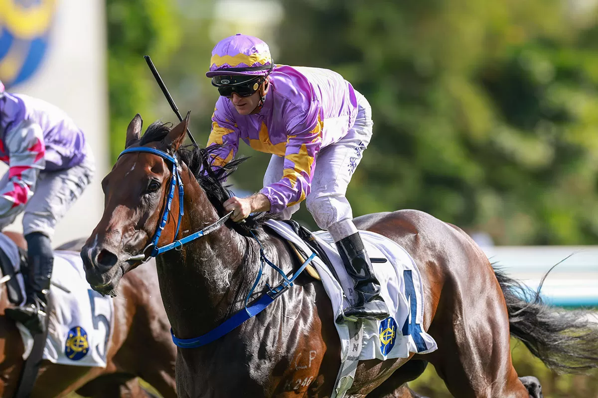 Paradise worthy of Attention in Hong Kong Classic Mile