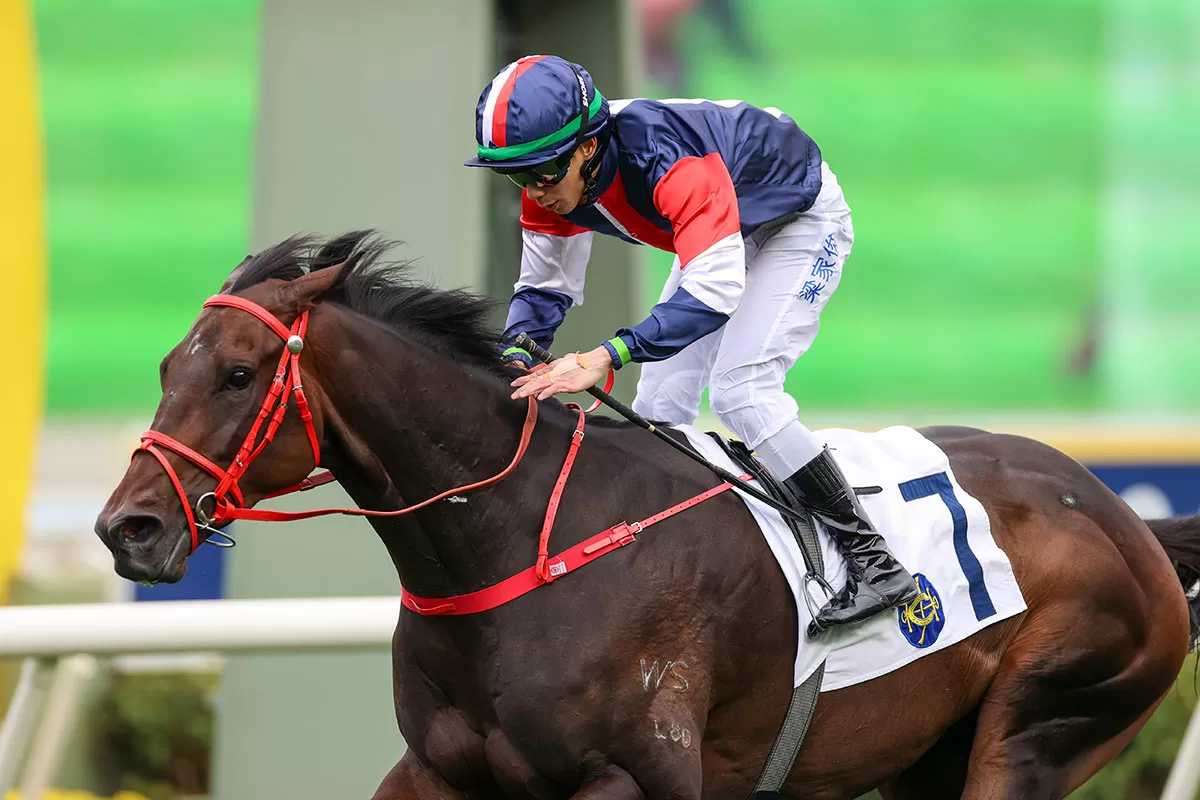Numbers can Slam rivals in Classic Cup