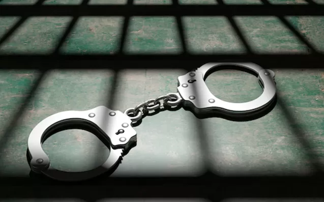 Life Imprisonment For Springs Woman Who Stabbed Boyfriend After Plying Him With Alcohol