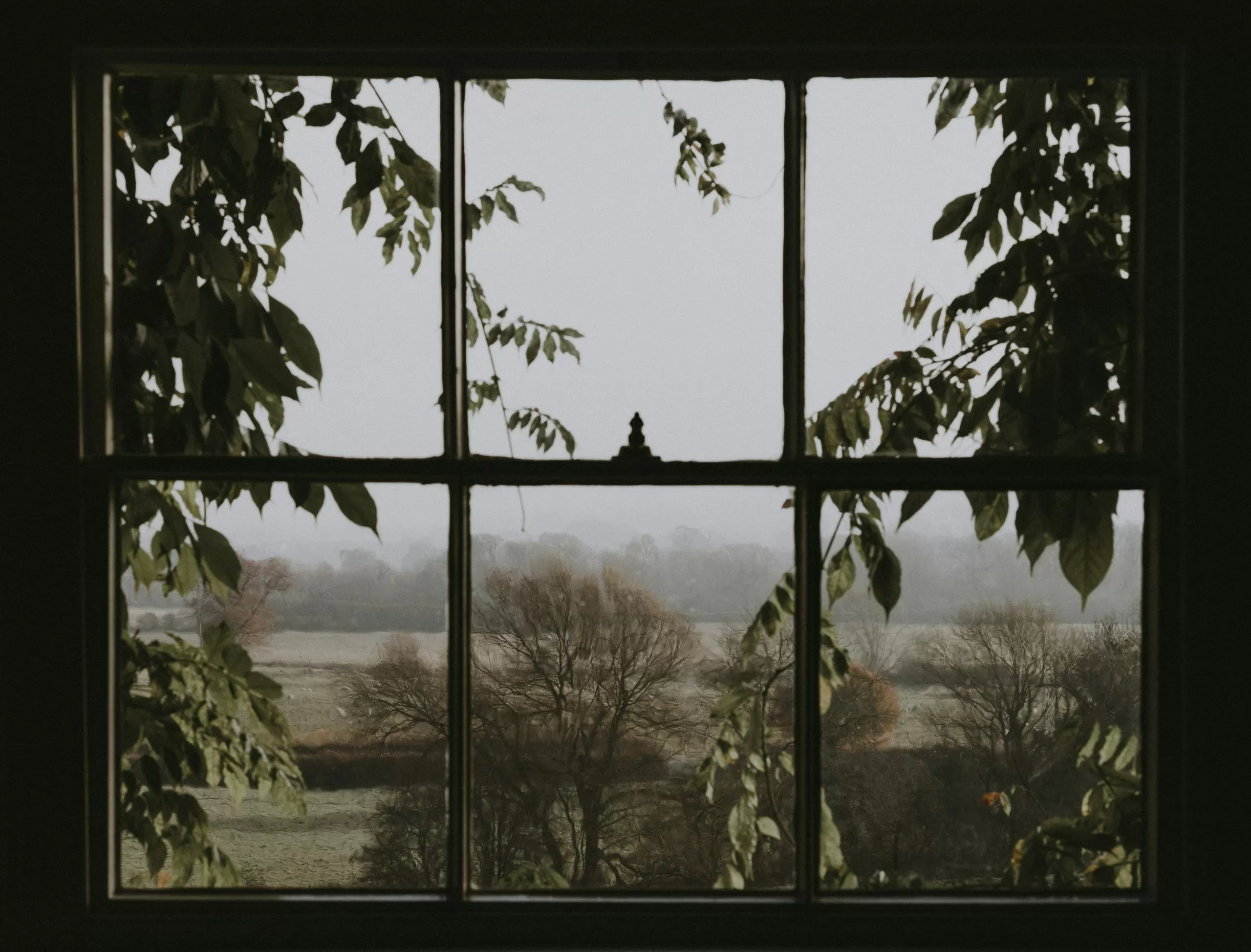 Data reveals that windows are 300 times dirtier than public toilet seats