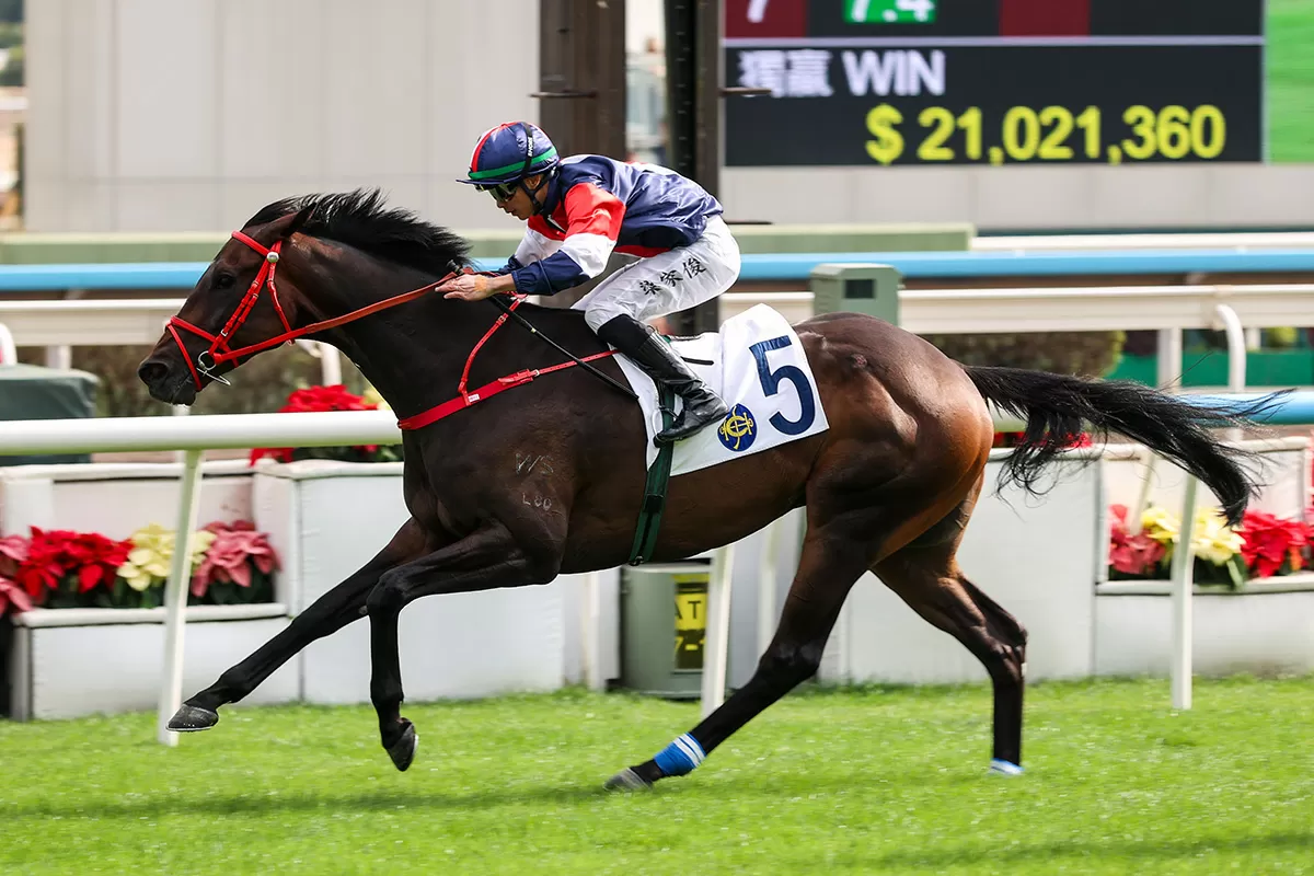 Numbers can make experience count in Centenary Vase