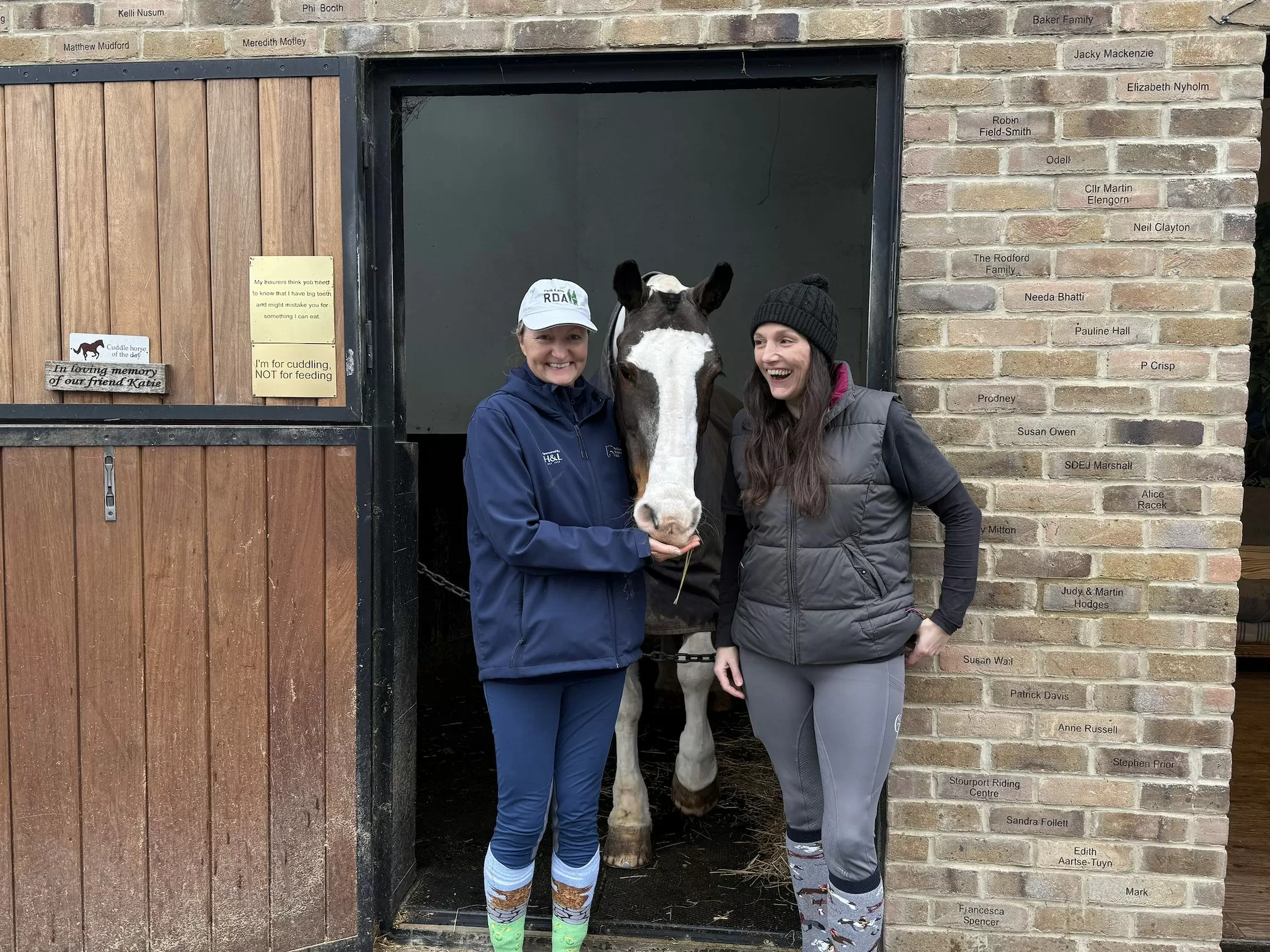 A cup of tea, a horse and a reason to keep going: Inside Teddington’s best-loved stables