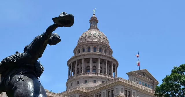 Democrat Temporarily Flips Deep‑Red Texas Senate District Trump Won in Low‑Turnout Special Election