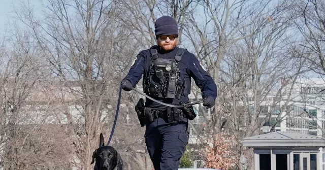 DC Police: Man with Shotgun Runs Toward Capitol, Gets Arrested
