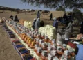 UN starts distributing food in Sudan’s Darfur after months
