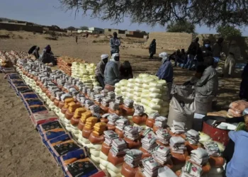 UN starts distributing food in Sudan’s Darfur after months