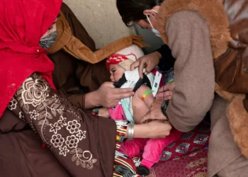 Young children bear brunt as Afghanistan grapples with malnutrition