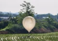 Poop bomb: North Korea sends ‘trash, feces’ balloons into South