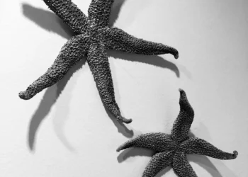 “The Power of Art and Entertainment: Fueling Jo and Creativit”