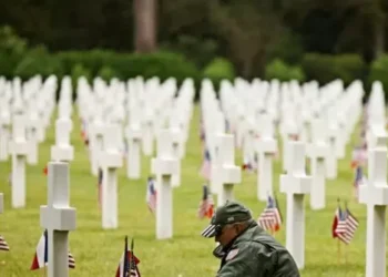 Pinkerton: D-Day + 80 — the Message of the Dead to the Living