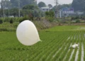 Pyongyang sends hundreds more trash balloons toward South Korea