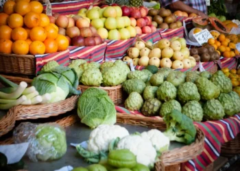 “Discovering Salud: Mexico’s Hidden Gem”