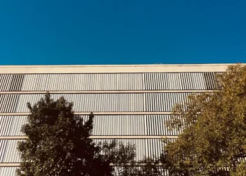 “The Importance of Art and Entertainment in Our Lives”