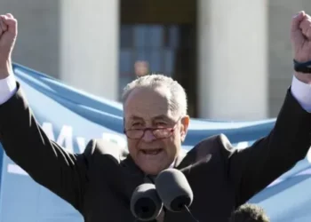 Schumer Bashes ‘MAGA SCOTUS’ After Historic Trump Immunity Decision