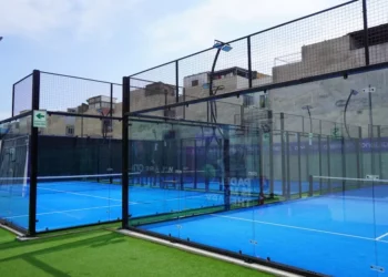 “The Enduring Role of Sports in Society”