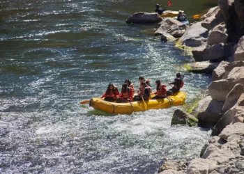 “The Enduring Impact of Sports on Human Society”