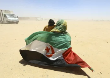Algeria recalls envoy as France backs Moroccan claim in W. Sahara