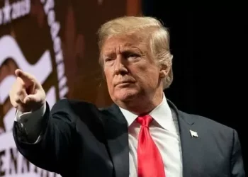 Exclusive — Donald Trump: If Kamala Harris Actually ‘Has a Gun, She Should Say What Kind of a Gun’