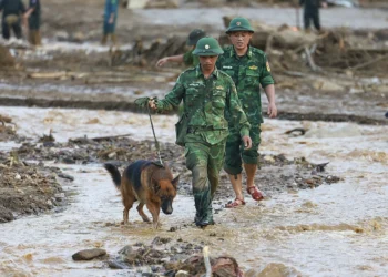 Vietnam typhoon toll climbs to 233, landslides leave tragedy trail