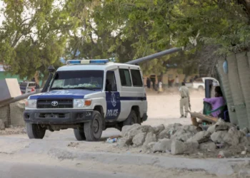7 killed, 6 injured in suicide attack on cafe in Somalia