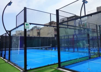 “The Enduring Impact of Sports on Society”