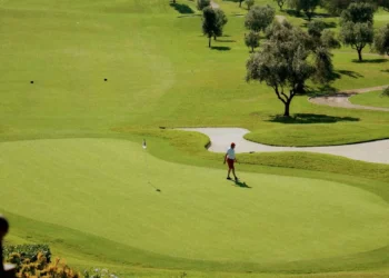 “The Enduring Impact of Sports on Human Culture”