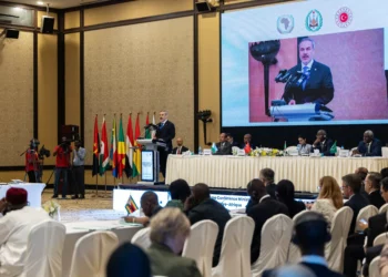 Türkiye supports Africa for deserved place in int’l system