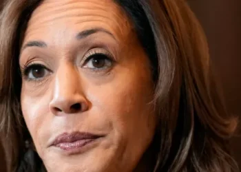 Kamala Harris Won’t Speak Tonight as Supporters Despair at Outcome
