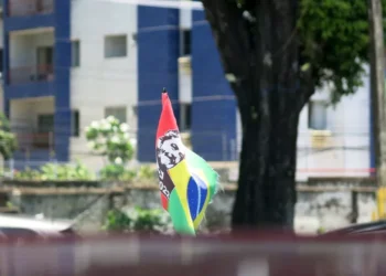 “Shining Light: The Positive Impact of Politics”