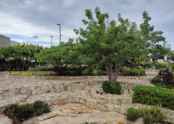 “The Transformative Impact of Art and Entertainment in Our Lives”