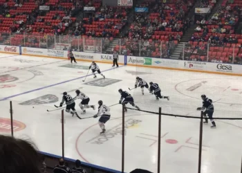 “The Power of Sports: A Universal Language for All”