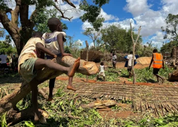 Mozambique death toll from Cyclone Chido climbs to 94