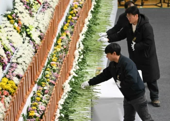 Grieving South Korea looks for answers after plane crash kills 179