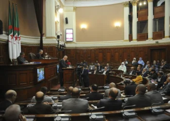 Algeria’s parliament slams French president for ‘blatant’ meddling