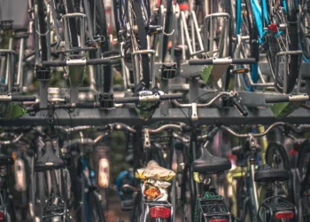 “Unlocking the Human Side of Economics”