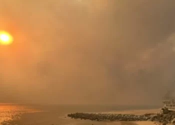 Pollak: The Smoldering Anger of the Palisades Fire