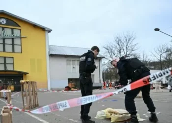 Algerian Migrant on Terror Watch List Arrested as Suspected Islamist Mass Stabbing in France Leaves One Dead, Several Injured