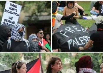 Rubio Warns Foreign Pro-Hamas Students Could Face Deportation