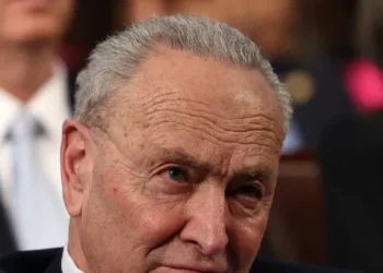 Chuck Schumer Mocks ‘Greedy’ Americans Who Want Less Taxes, Less Government Control