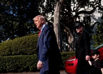 Trump: Tree Planted by Andrew Jackson ‘Many Years Ago’ Will Be Removed