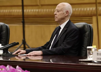 Tunisia’s Saied labels foreign criticism as ‘blatant interference’
