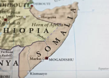 Somalia military ops neutralize dozens of al-Shabaab terrorists