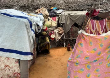 Sudan’s RSF rains destruction on Darfur Camps, killing over 100