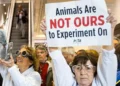 PETA Thanks Trump Admin for Phasing Out Animal Testing at FDA, EPA