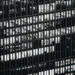 “Uncovering the Truth: The Surprising Benefits of Resource Allocation”