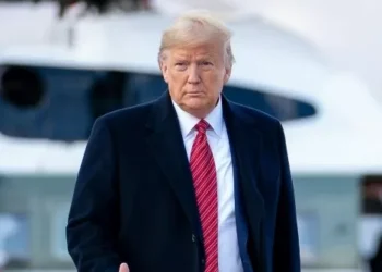 Poll: President Trump Is Winning the Transgender Debate